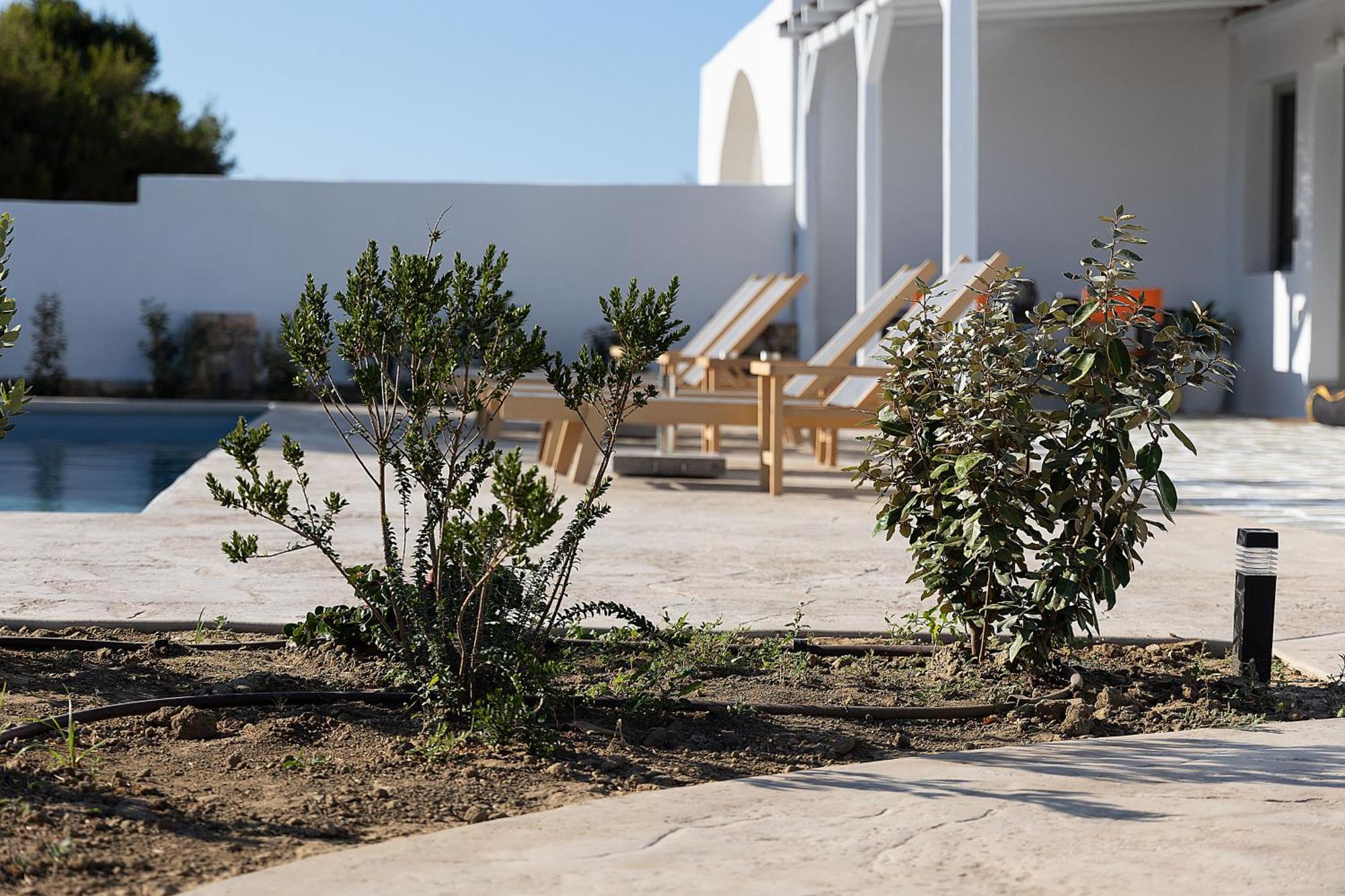 White Pearl Villa Naxos With Private Swimming Pool Naxos City Exterior foto