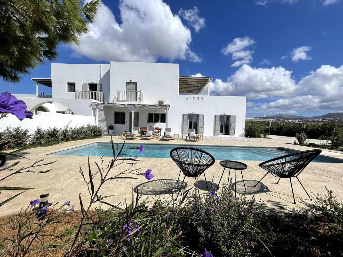 White Pearl Villa Naxos With Private Swimming Pool Naxos City Exterior foto