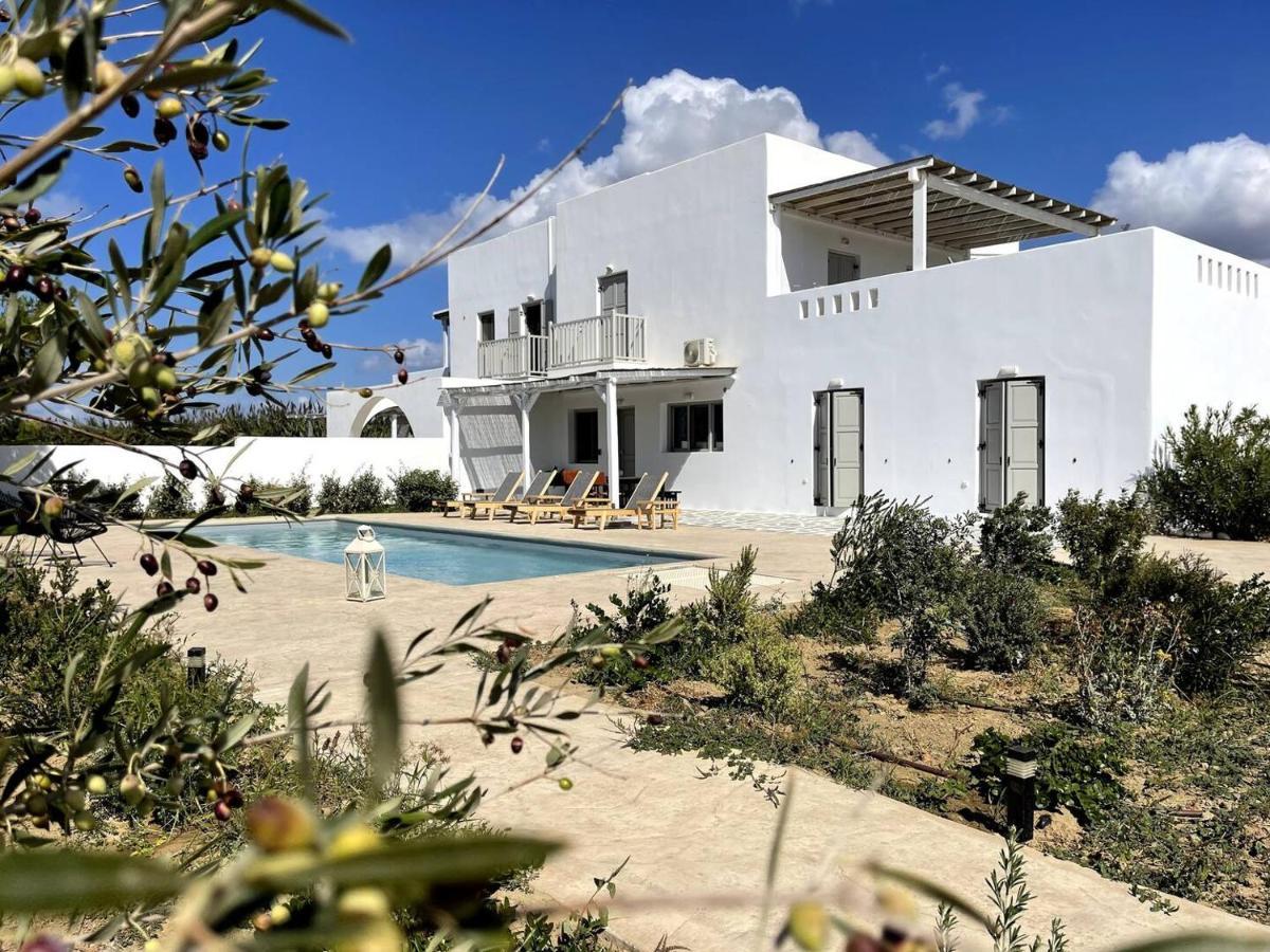 White Pearl Villa Naxos With Private Swimming Pool Naxos City Exterior foto
