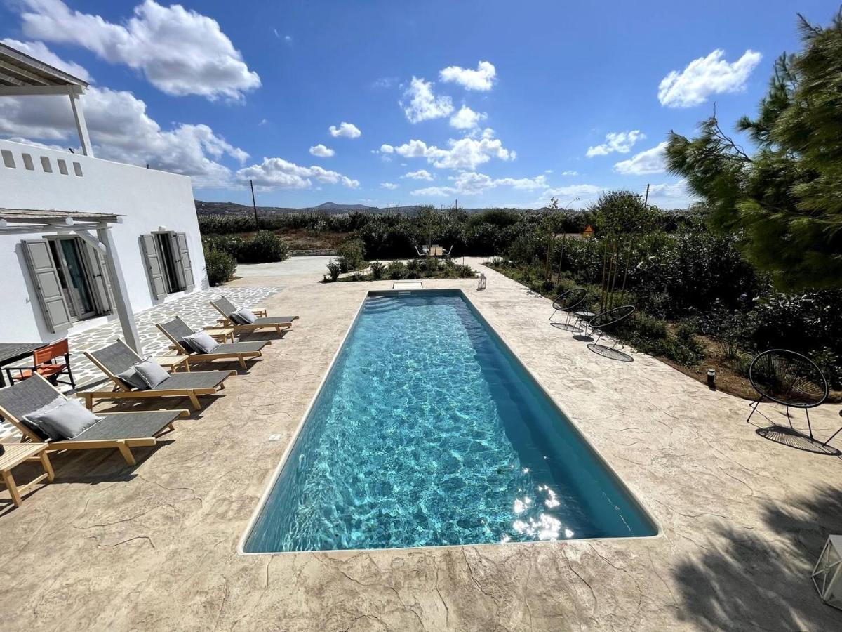 White Pearl Villa Naxos With Private Swimming Pool Naxos City Exterior foto